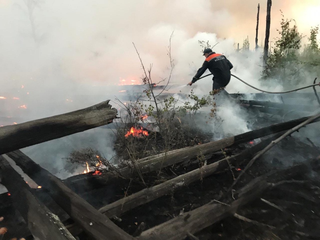 Глеб Никитин рассказал подробности о горящих в Воротынском районе лесах