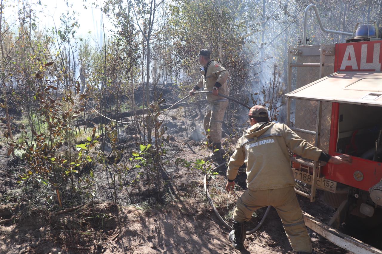 Десантники из Иркутска прибудут в Нижегородскую область для тушения пожаров