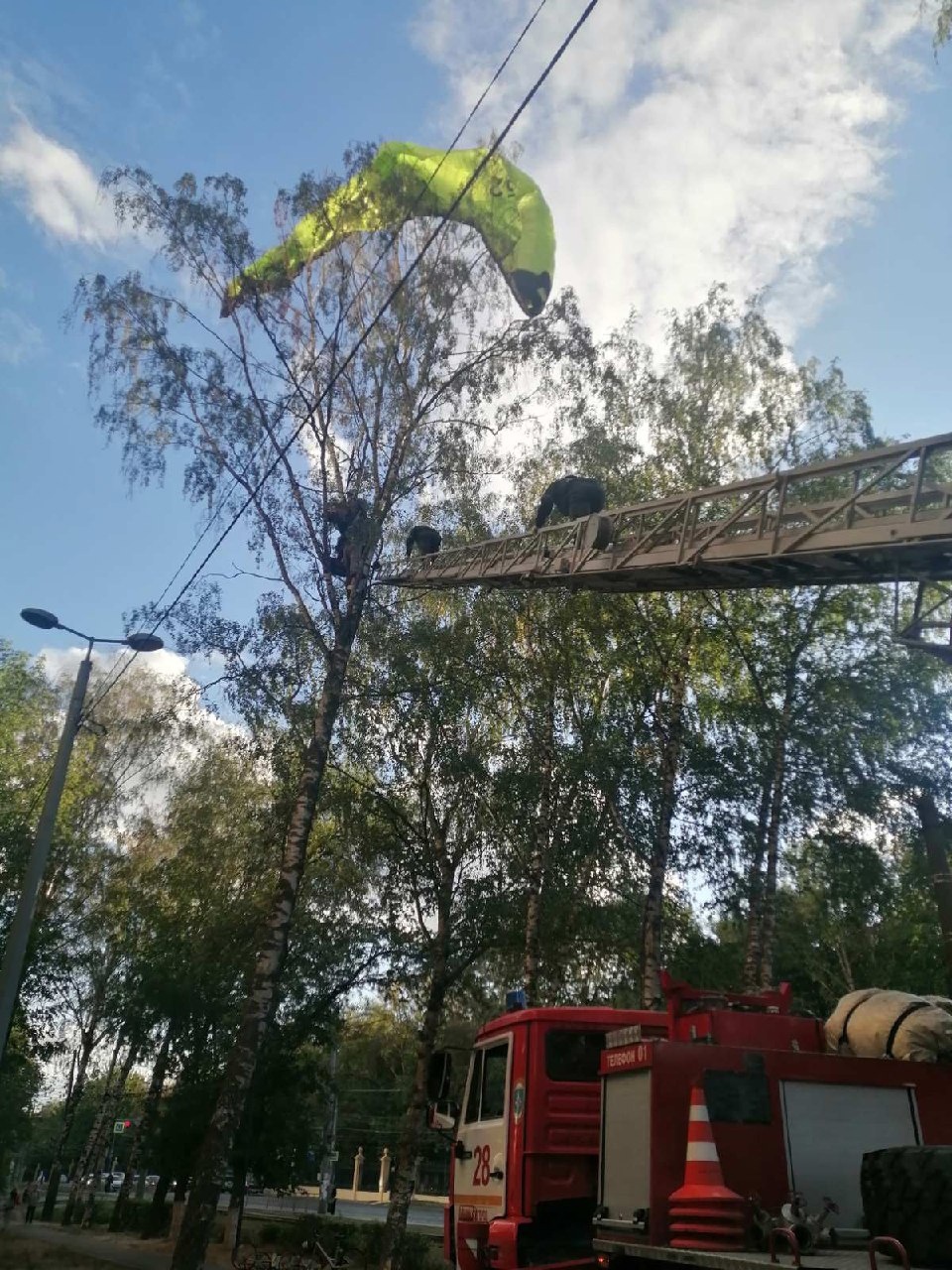 Параплан застрял на дереве в Нижнем Новгороде 
