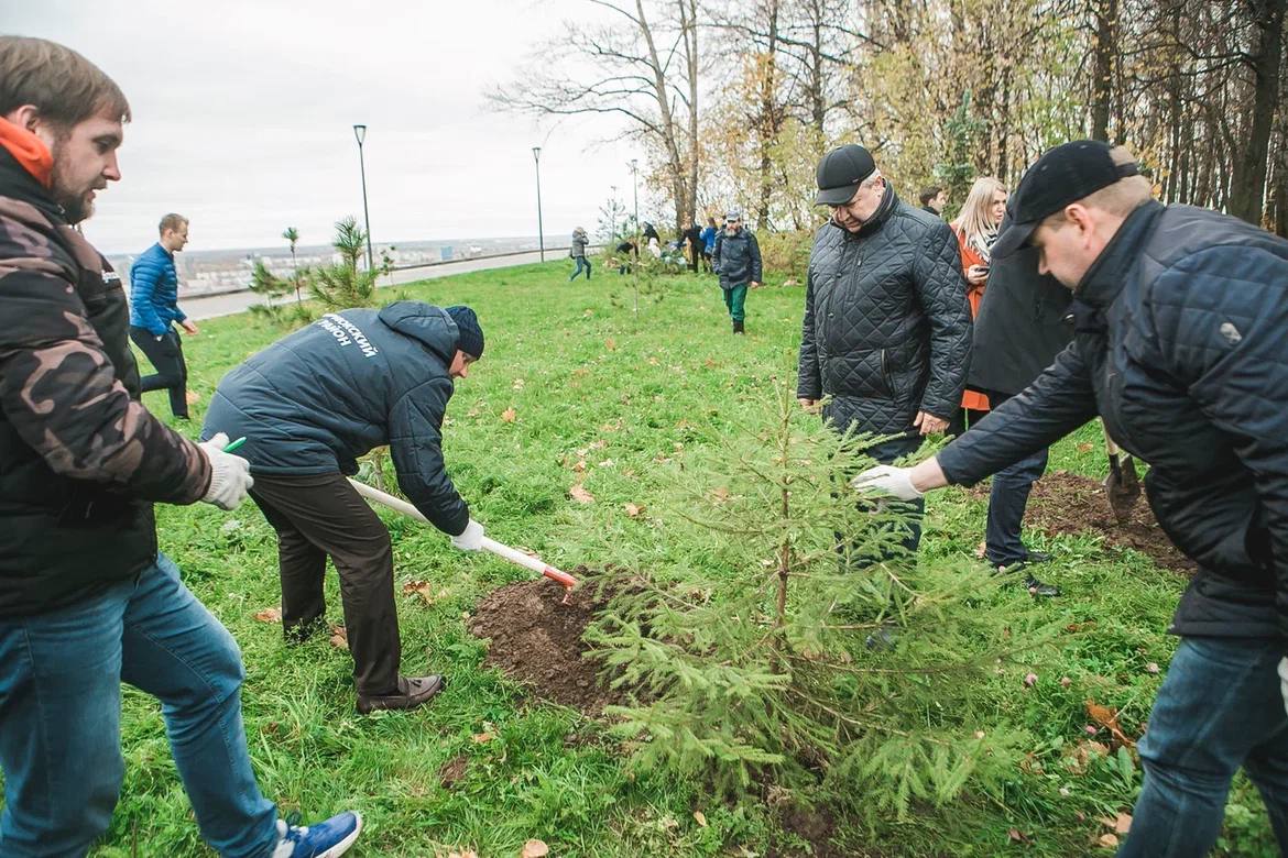В парке Нижнего Новгорода посадили ели, чтобы почтить память погибших бойцов