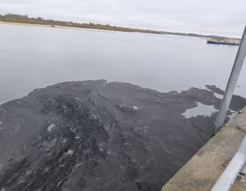 Эксперты выяснили, какой вред природе нанес разлив нефтепродуктов в Нижнем Новгороде