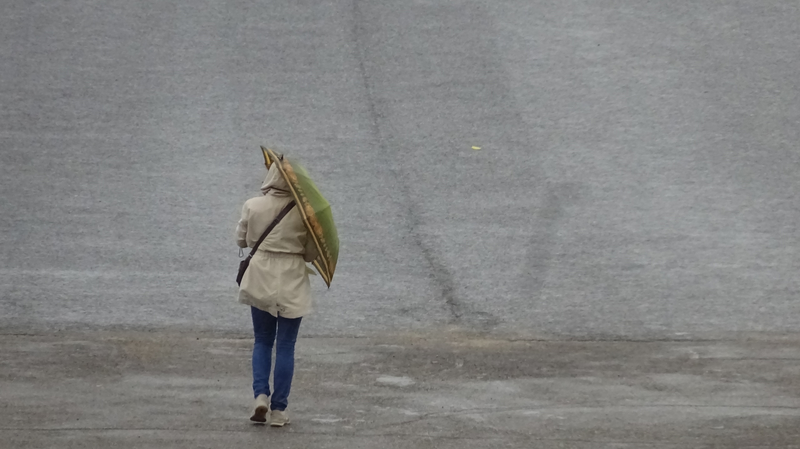 Дождливая, но теплая середина недели ждет нижегородцев