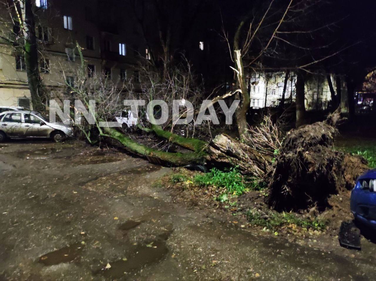 13 ноябрь 2019. Ураган в Нижнем Новгороде. Ураган в Нижнем Новгороде вчера.