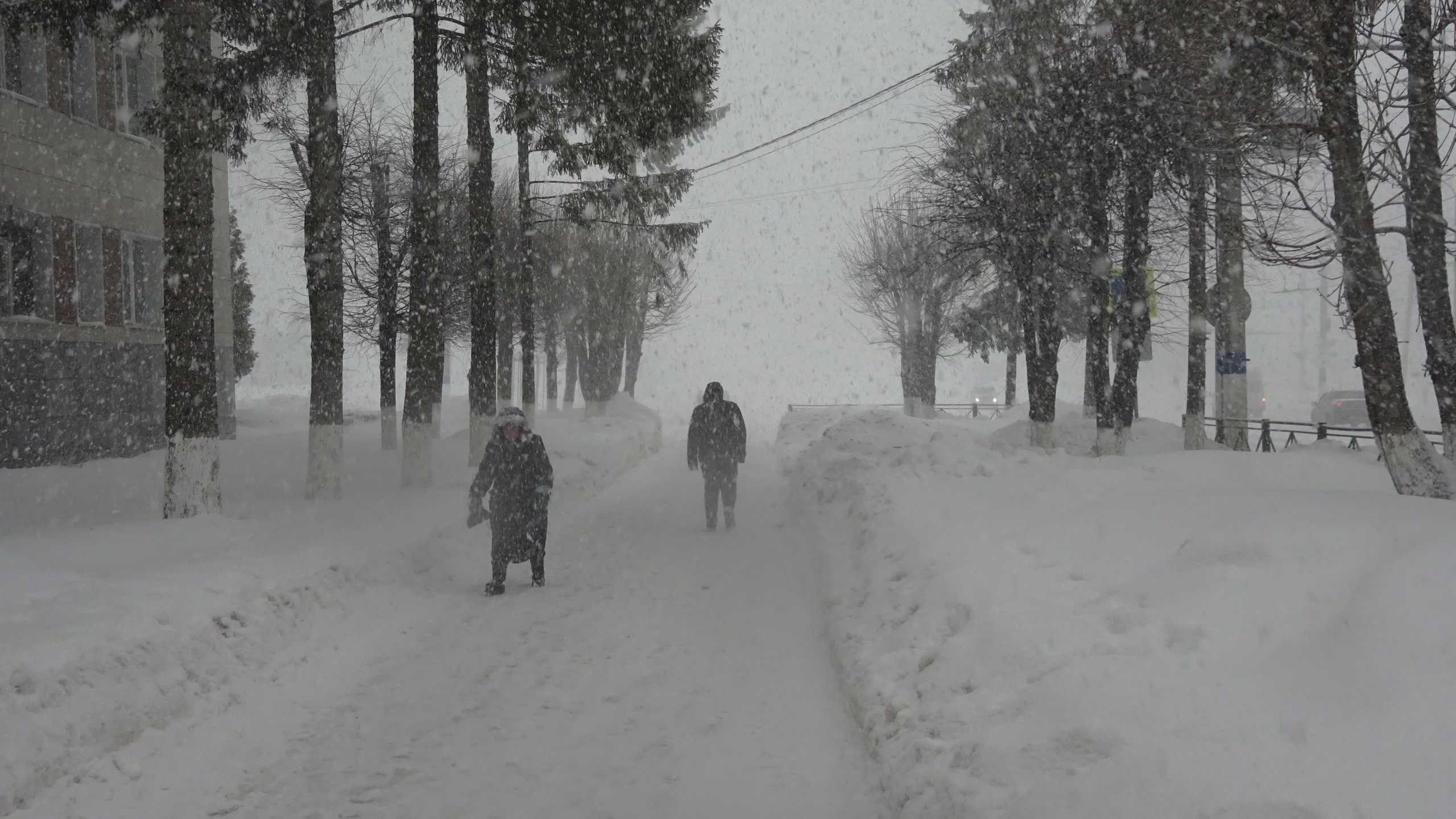 Золотая метель бушевать перестанет. Метель в городе. Зима в городе фото. Снежная буря в Нижнем Новгороде. Снежные заносы на дорогах.