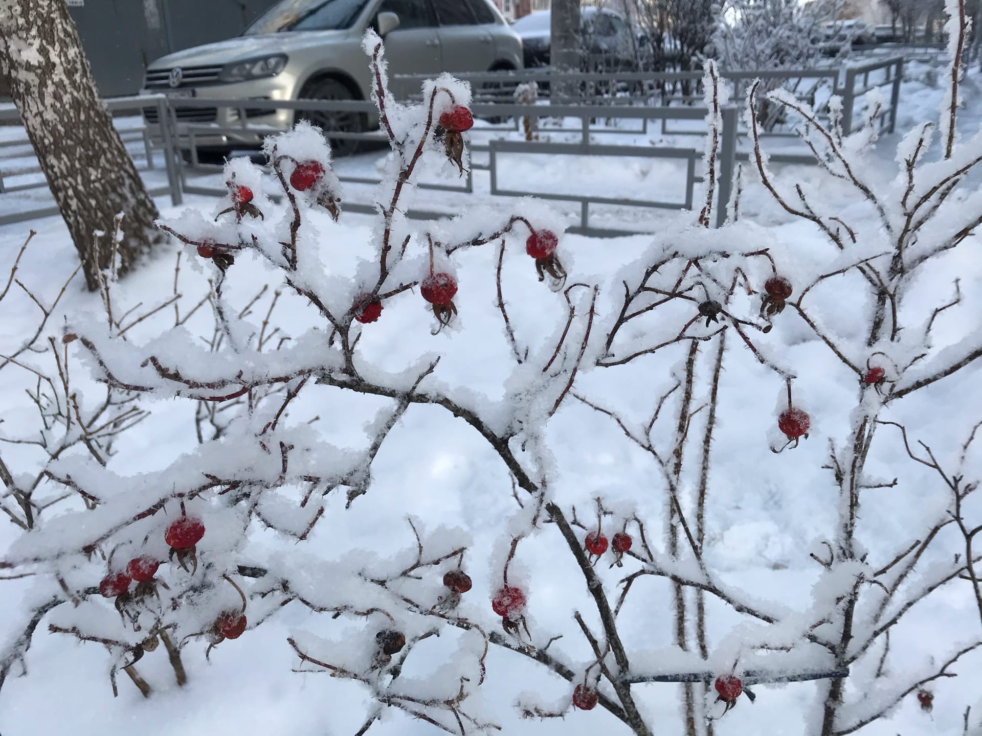 Морозы не отступают: прогноз на среду в Нижегородской области