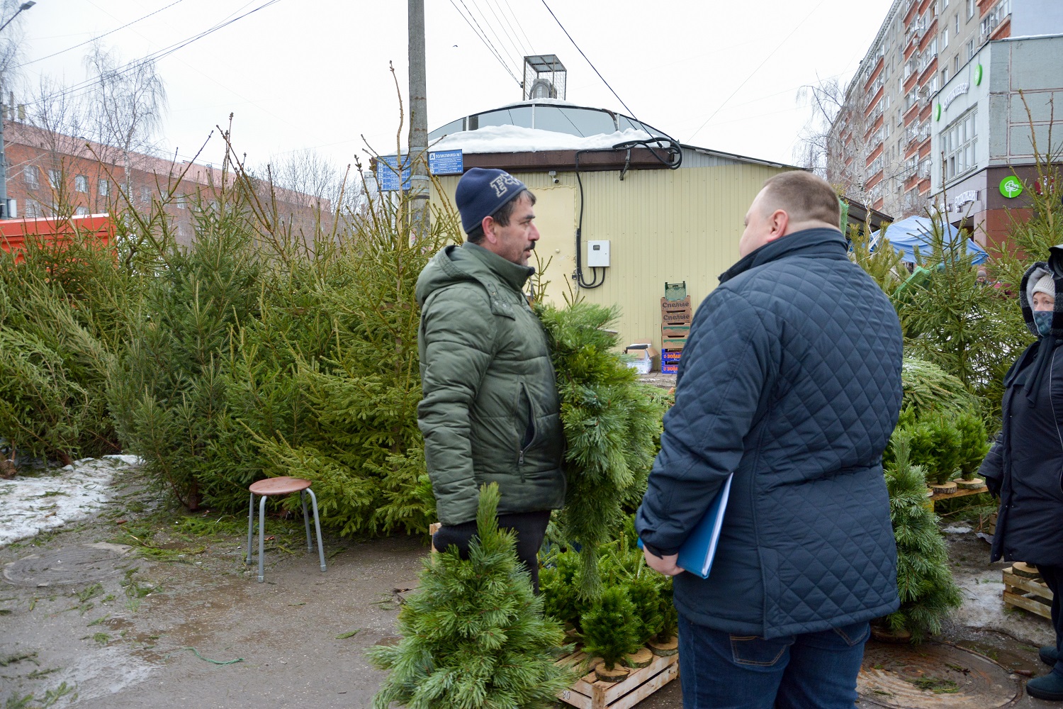 Штрафы грозят четырем продавцам елок в Нижем Новгороде 