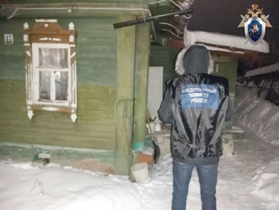 Женщина и ее сын отравились и умерли в своем доме в Нижегородской области 