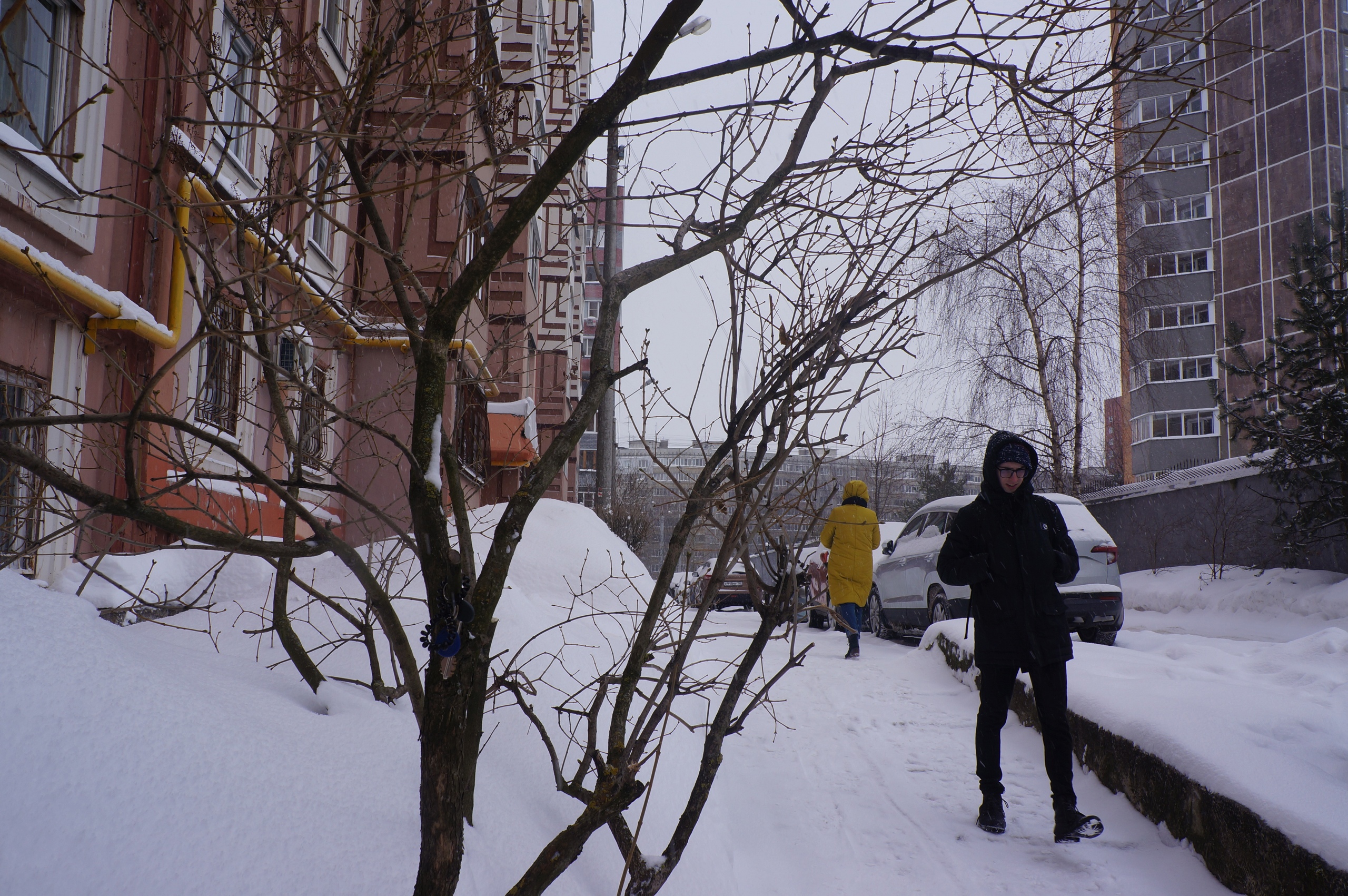 В понедельник в Нижегородскую область вновь вернутся морозы