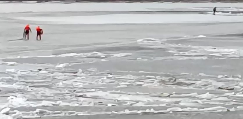 В Нижнем Новгороде мужчина пытался сбежать от спасателей по льдинам