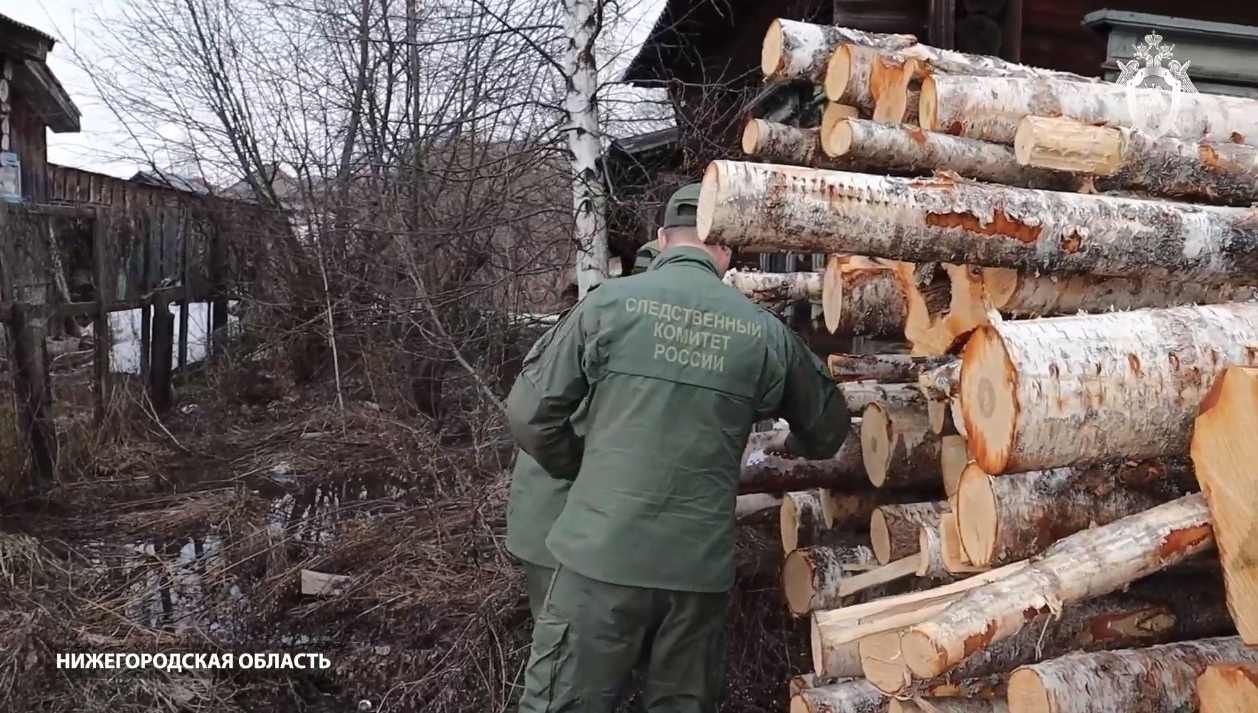 Убийство трех человек на нижегородской лесопилке в 90-х раскрыли спустя 24 года