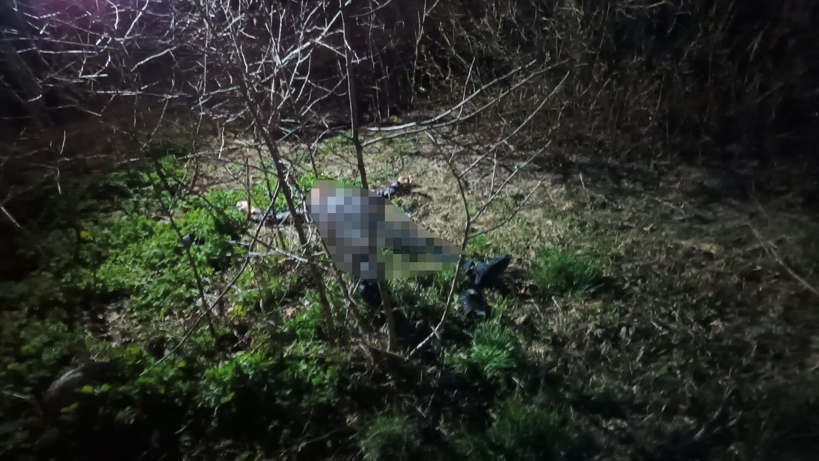 В Дзержинске под окнами многоэтажки нашли труп мужчины