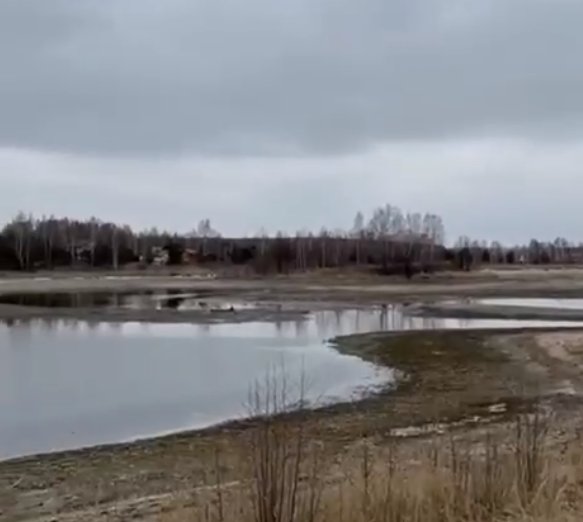 В Павловском районе с началом весны сильно обмелело озеро