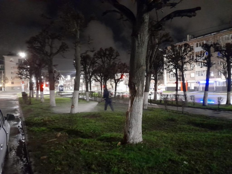 В нижегородские парки выйдут специалисты, чтобы опрыскать все от клещей