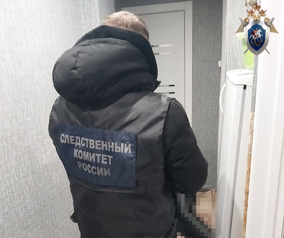 Женщина убила бывшего мужа в Борском районе