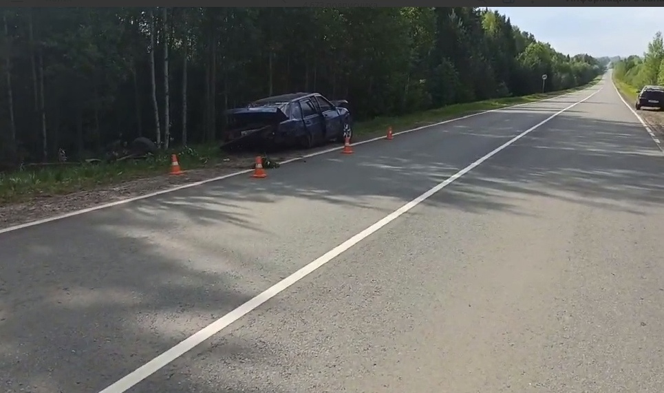 Водитель вылетел на скорости в кювет и погиб в Нижегородской области