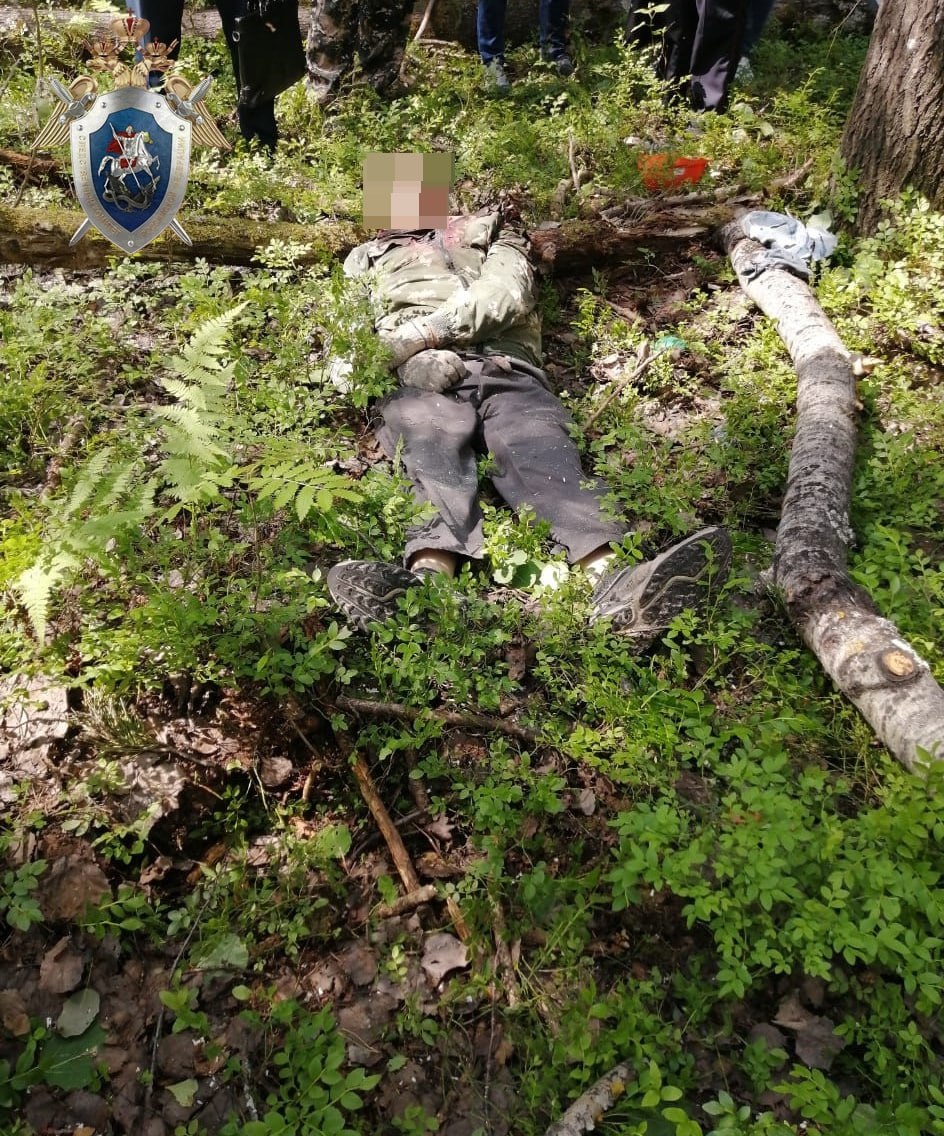 СК расследует гибель дровосека в Ковернинском районе