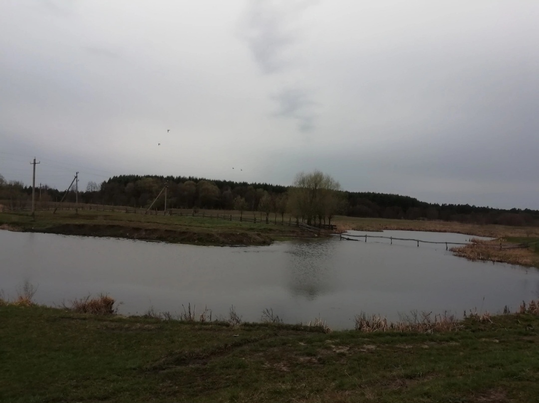 На озере в Нижегородской области спасли молодую женщину
