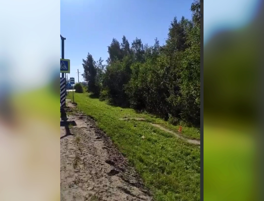 День смертельных ДТП: мотоциклист врезался в столб и погиб в Нижегородской области