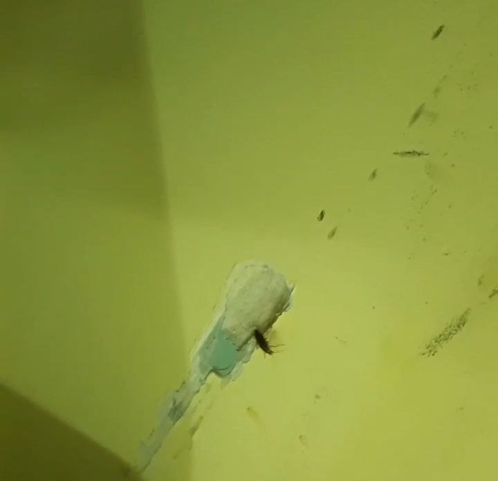 "Тараканы ползают по лицу": пациенты нижегородской больницы шокированы условиями содержания