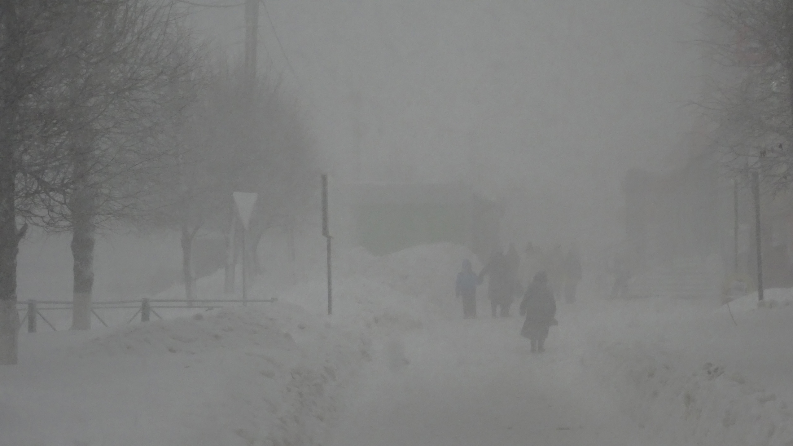 Снегопад декабрь 2023. Снегопад. Метель в городе. Непогода. Снегопад предупреждение.