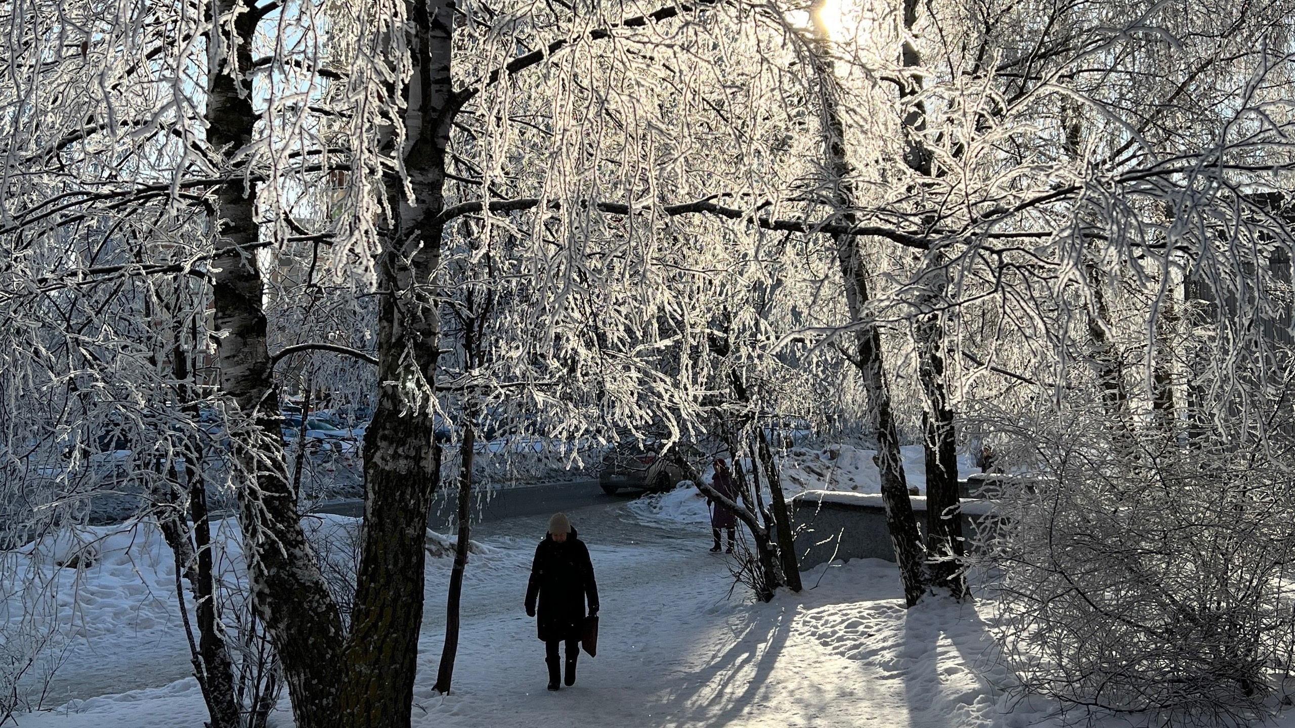До -29: МЧС предупреждает нижегородцев об аномально холодной погоде