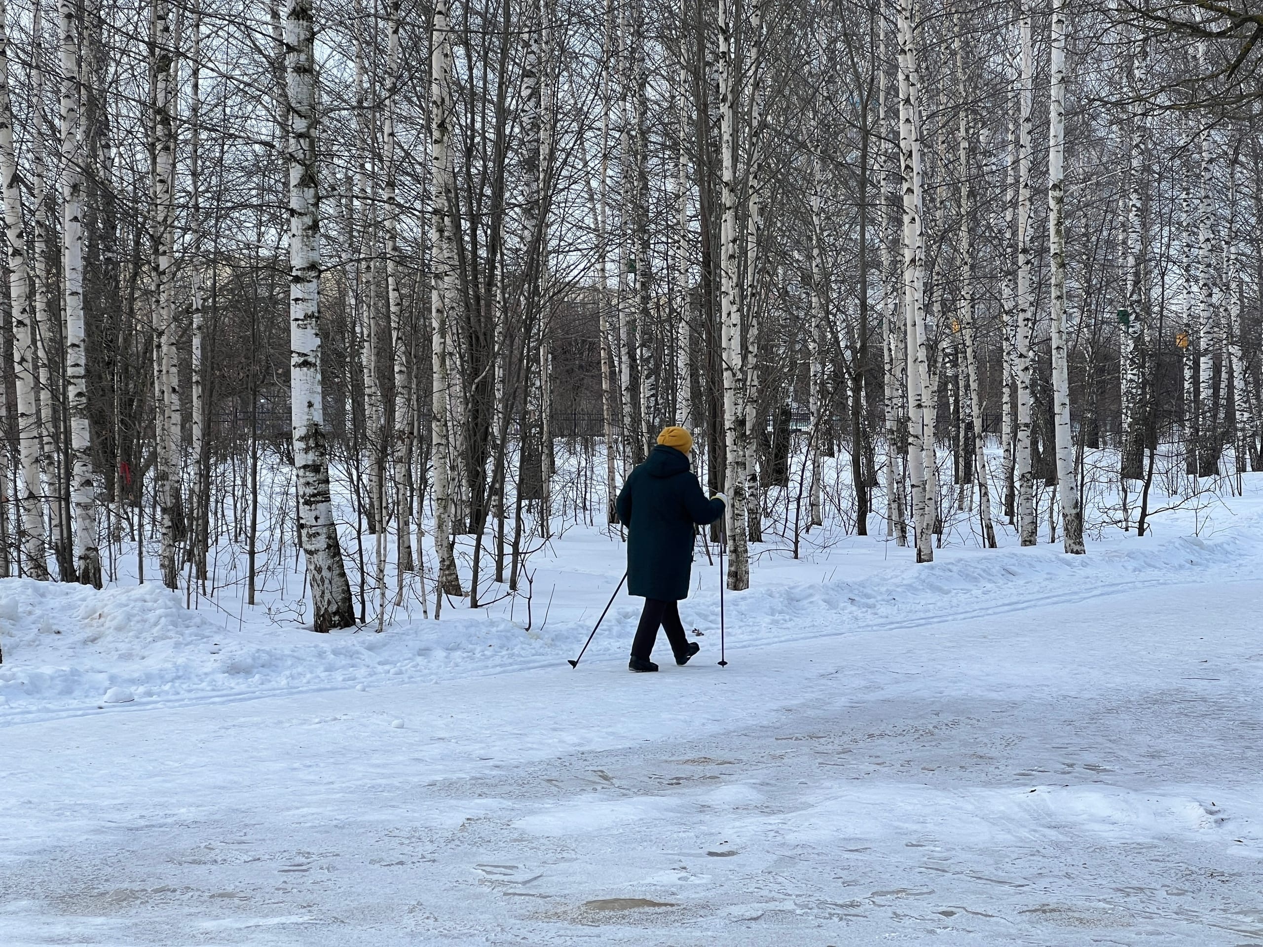 Аномально холодная погода установится в Нижегородской области посреди недели