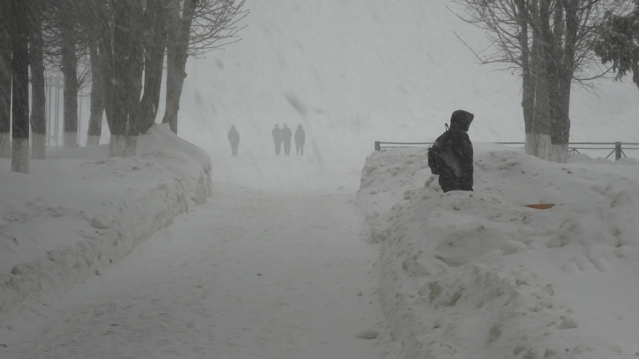 Метель и изморозь: нижегородцы готовятся к ледяному испытанию