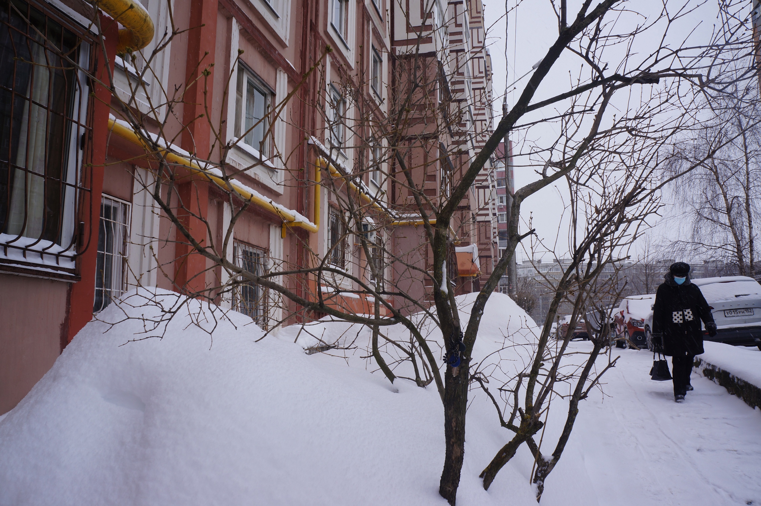 Снегопад и морозы: Нижегородская область готовится к экстремальной пятнице