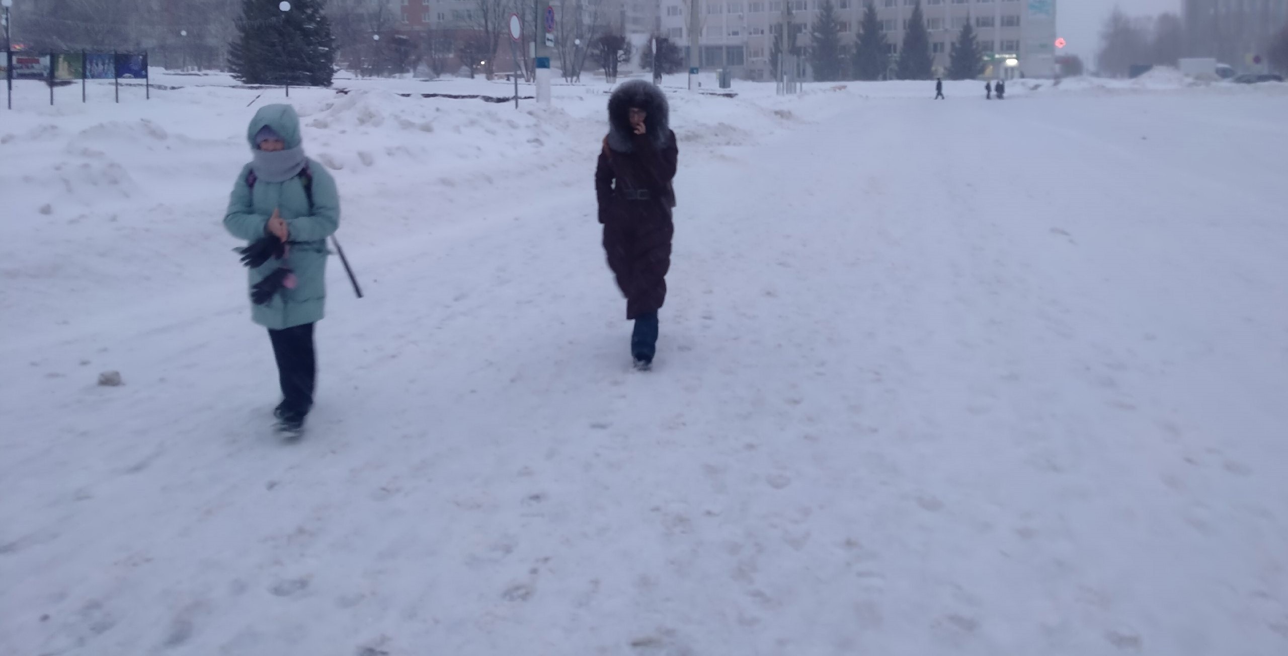 Умеренный снег и метель: погодные условия в Нижегородской области не улучшатся