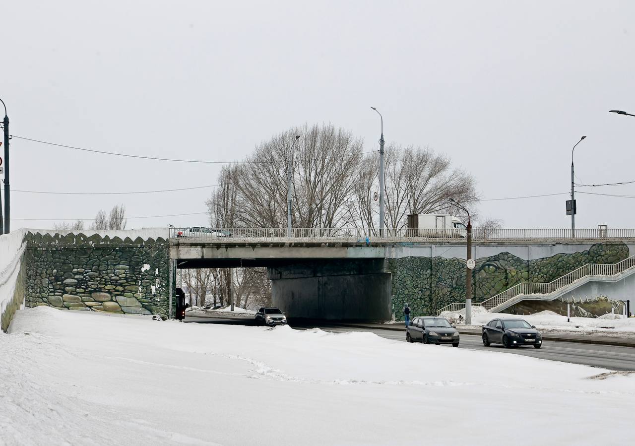 Мост с крокодилом переживет реконструкцию в Нижнем Новгороде 