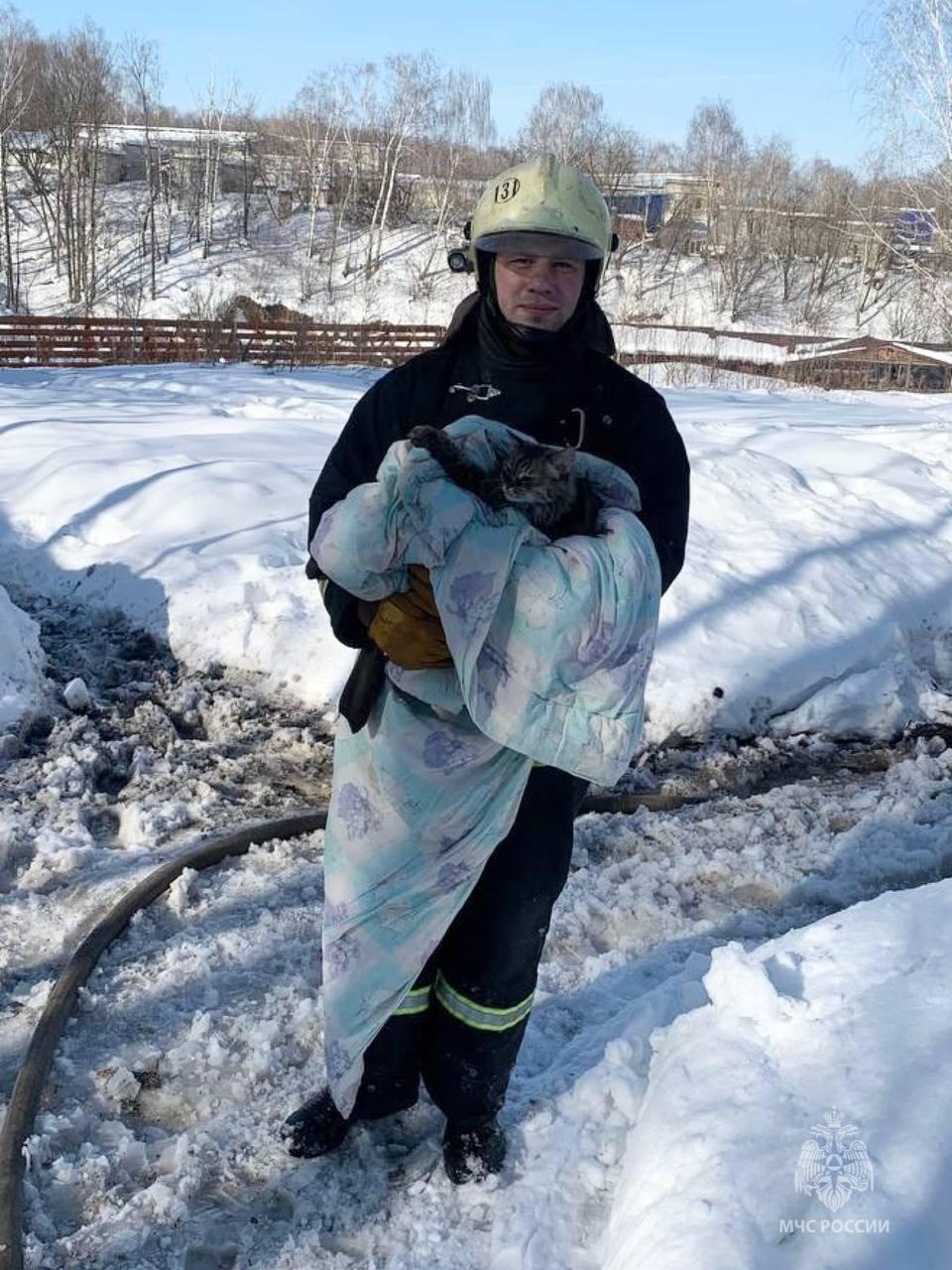 Пожарные спасли двух котов из горящего дома в Нижегородской области