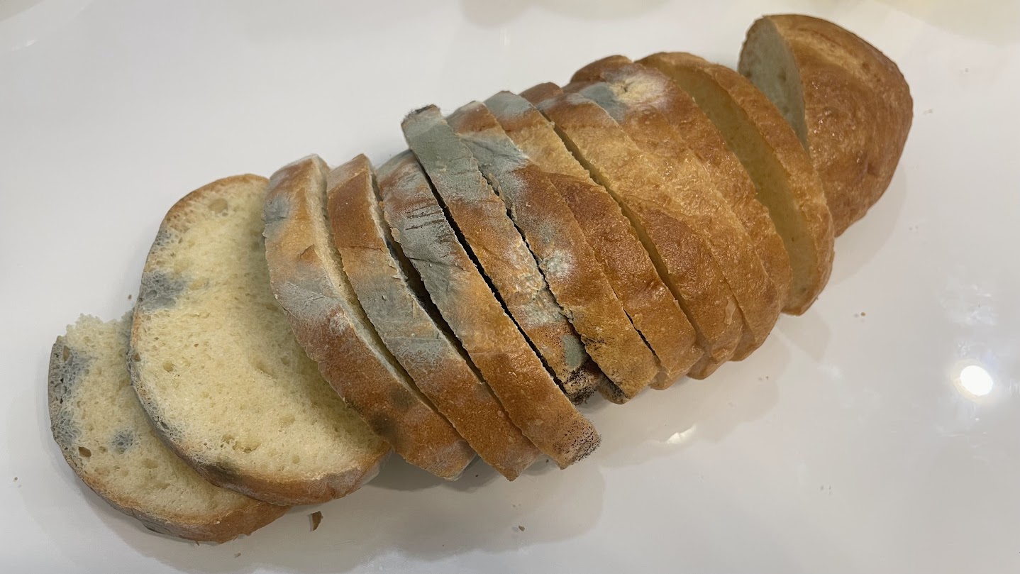 Хитрость от плесени: этот старинный метод сохранит ваш хлеб свежим неделями – узнайте как