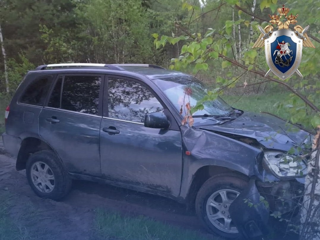 Девочка погибла под колесами легковушки в Уренском районе: водитель понесет наказание 