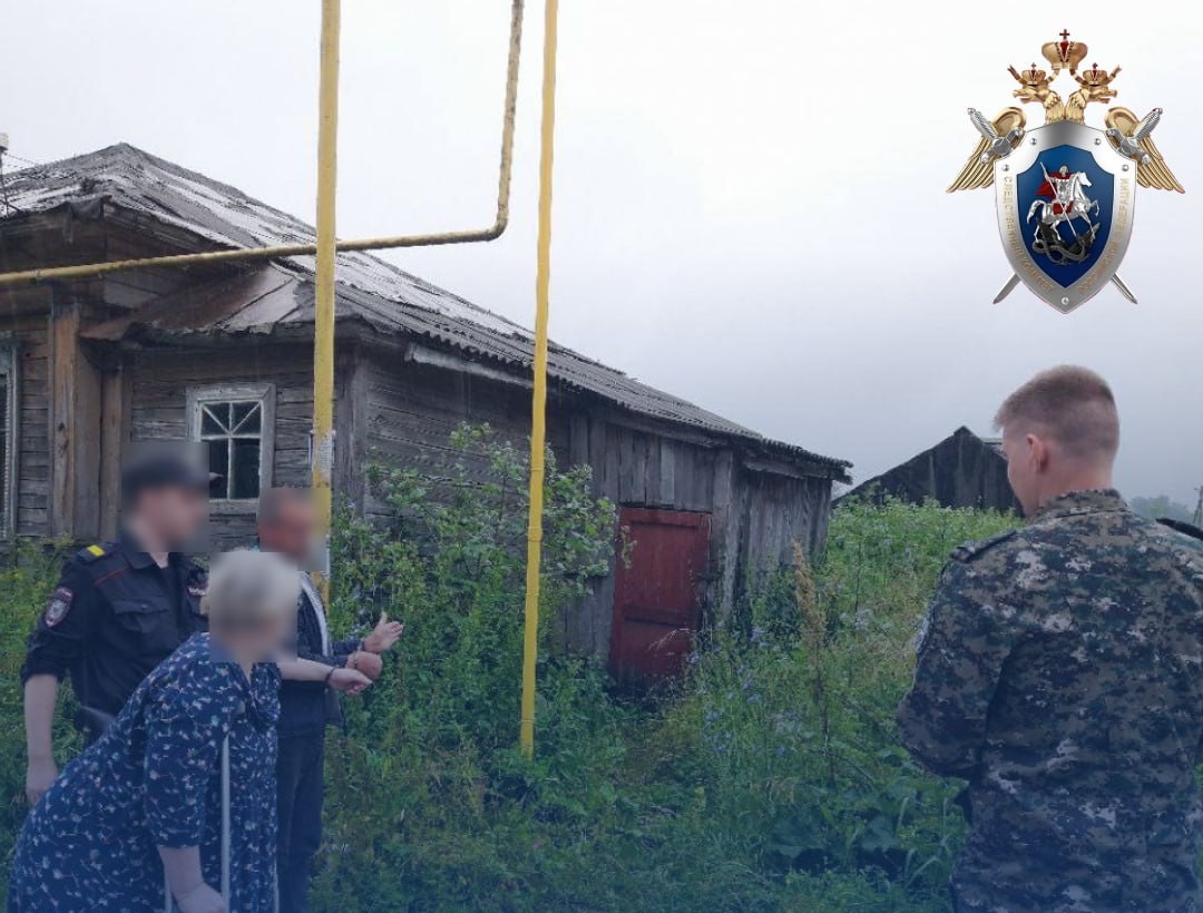 Житель Богородска попал под суд за убийство топором