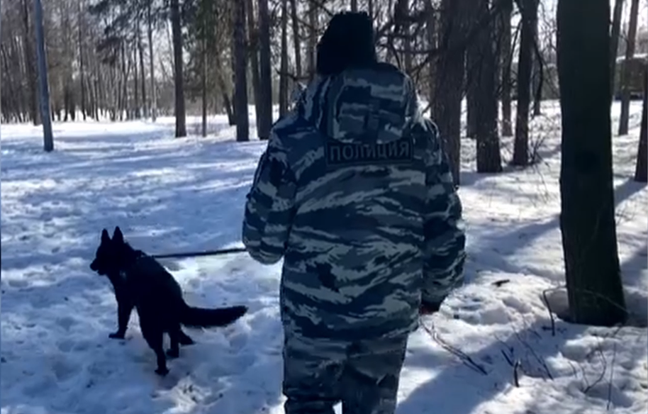 Служебная собака Супра помогла найти грабителя в Дзержинске 