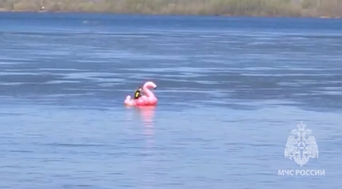 Нижегородская блогерша чуть не утонула, пытаясь переплыть Волгу на фламинго
