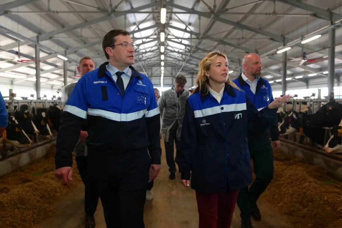 В Уренском районе открыли новое молочное производство с 1000 коров