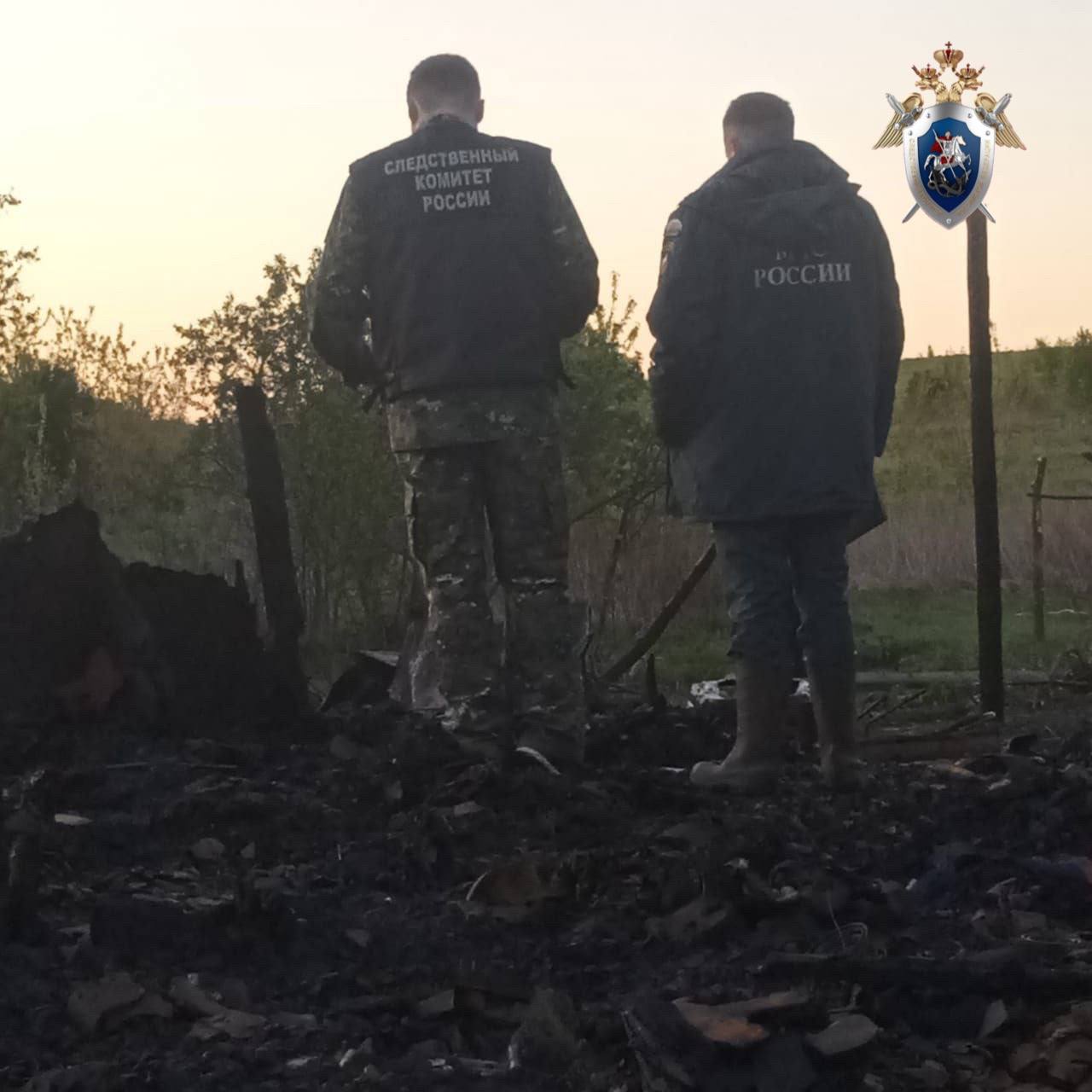 Пожар в Лукояновском районе унес жизни ребенка и мужчины: следователи разбираются в случившемся 