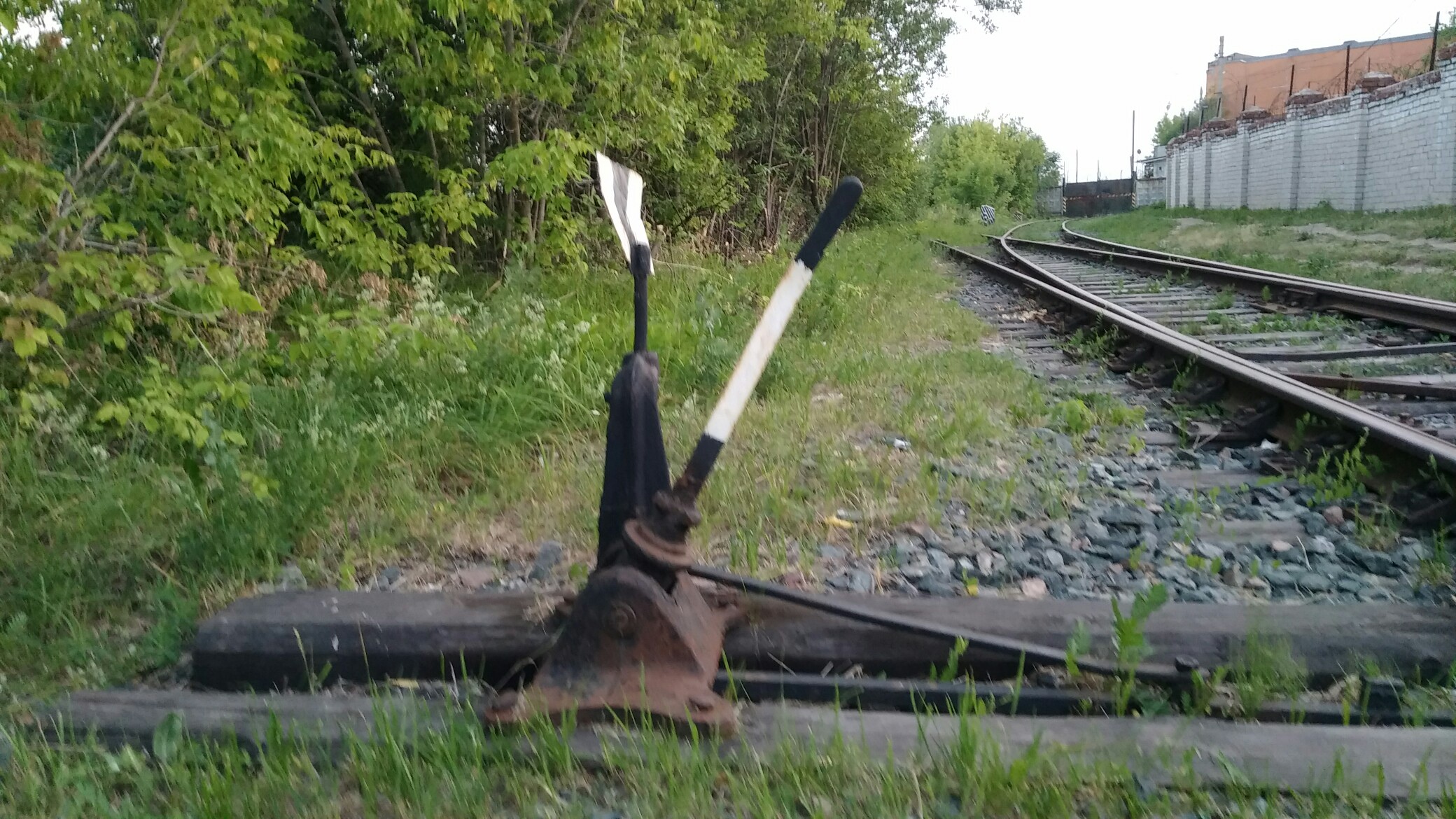 В Шатковском районе грузовой поезд насмерть сбил подростка