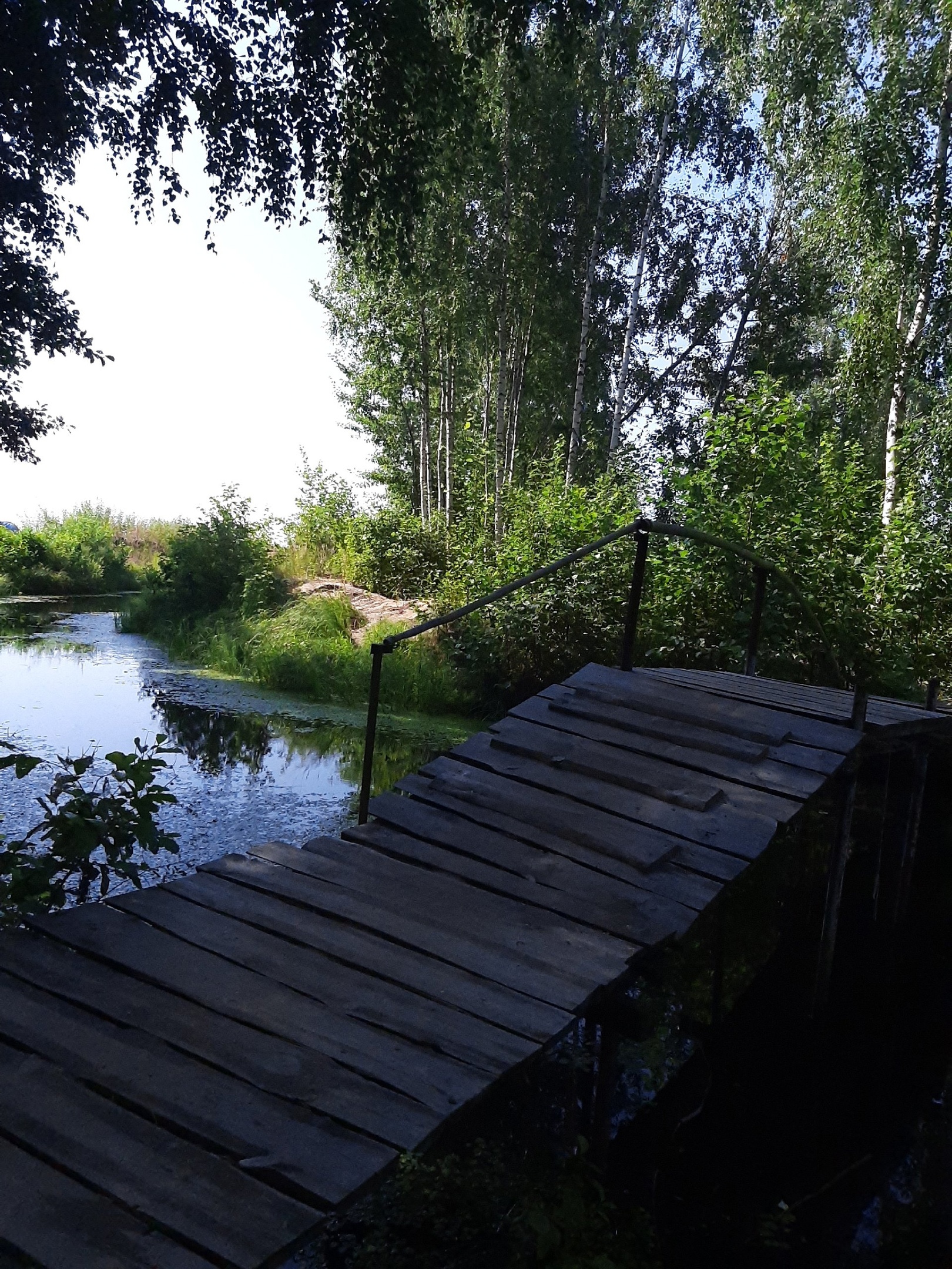 В Нижегородской области начнут очищать загрязненные реки и озера: на очереди первые три