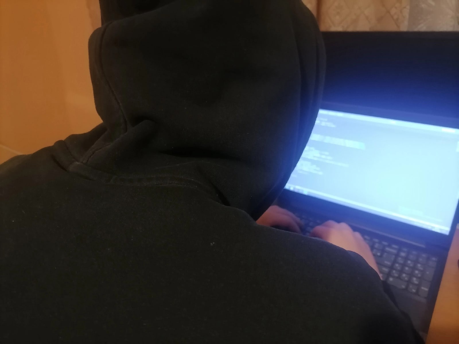 Хакер из Выксы получил срок за распространение вируса