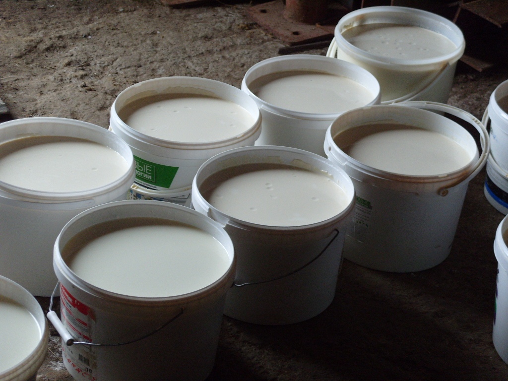 В молочной продукции одного из нижегородских комбинатов нашли антибиотики