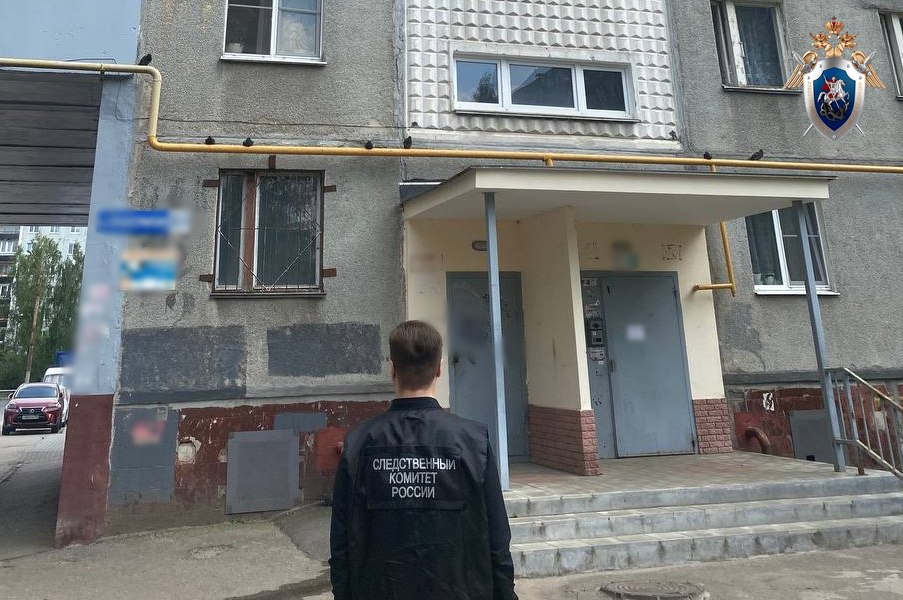 Стали известны новые данные о гибели ребенка, выпавшего из окна в Сормово: СК начал расследование