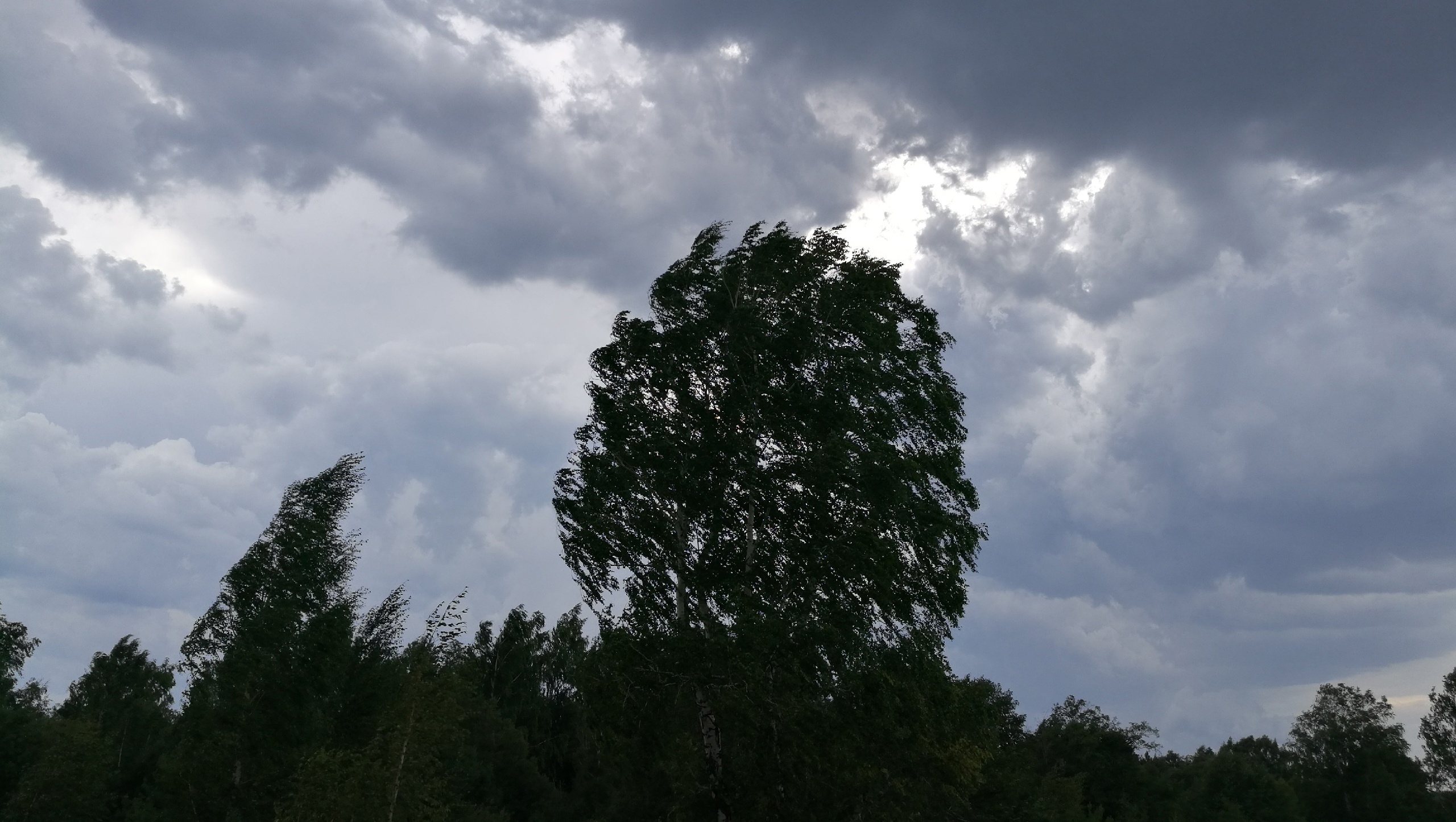 34-градусная жара и тропическая гроза: погода в Нижегородской области на завтра заставит напрячься