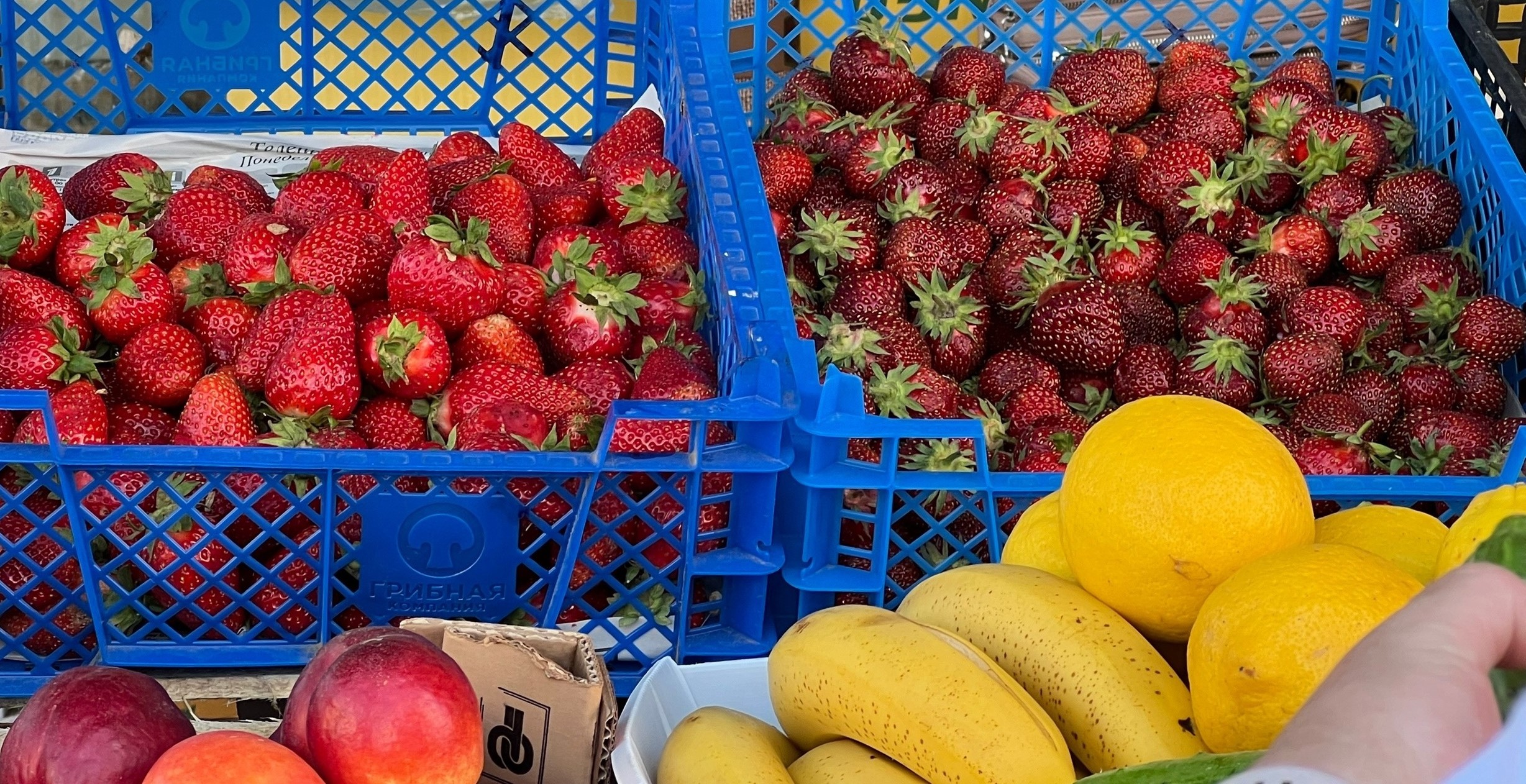 "Ну и юг": туристы рассказали об июльских ценах на фрукты и ягоды в Анапе