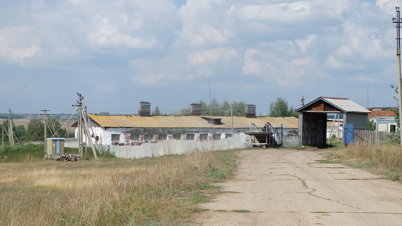 Более 20 сельхозрабочих в Нижегородской области месяцами сидели без зарплаты