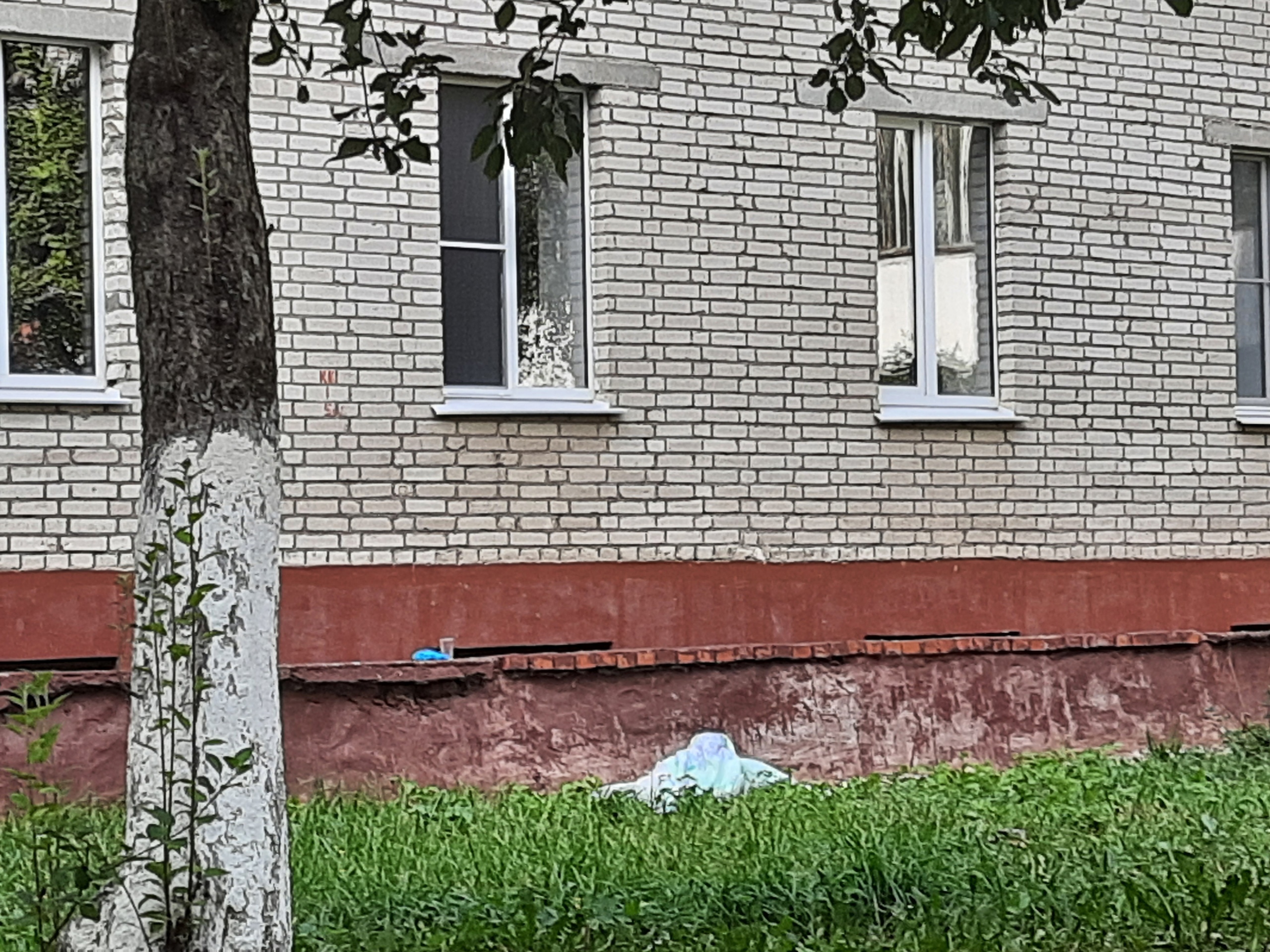 Двухлетний малыш выпал из окна дома в Дивеевском районе