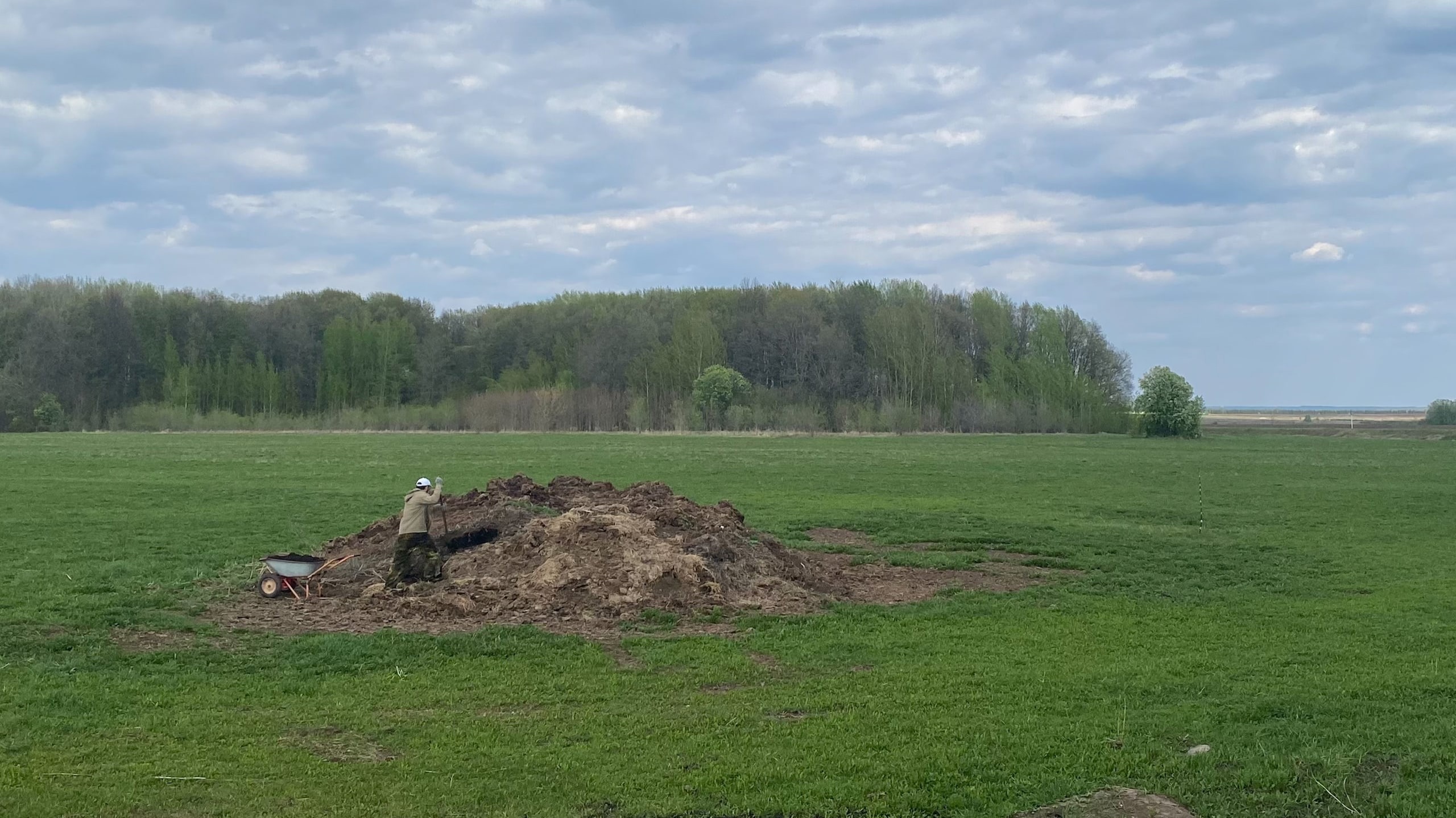 Опасное вещество, которое вызывает рак, найдено в почве Нижегородской области