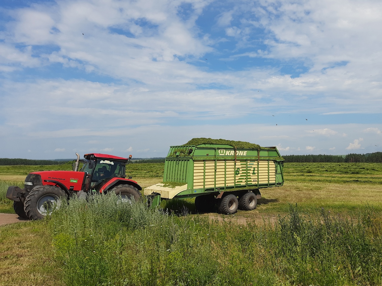 Первые 22 тысячи гектара урожая собрали нижегородские аграрии