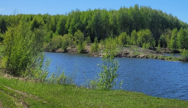 Тело 13-летней девочки вытащили из озера в Нижнем Новгороде
